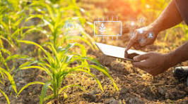 agriculture